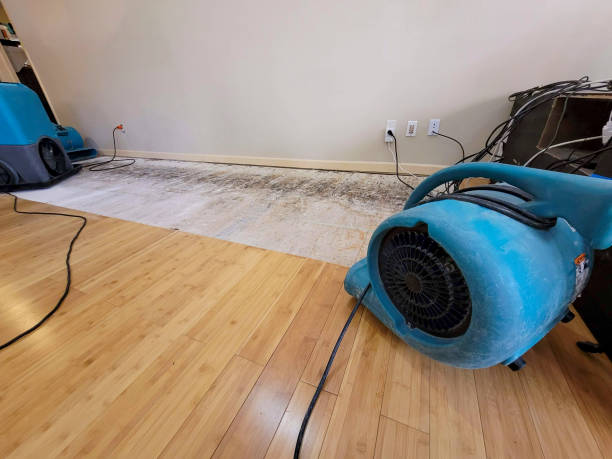 Professional Structural Drying technician working in Turin, GA
